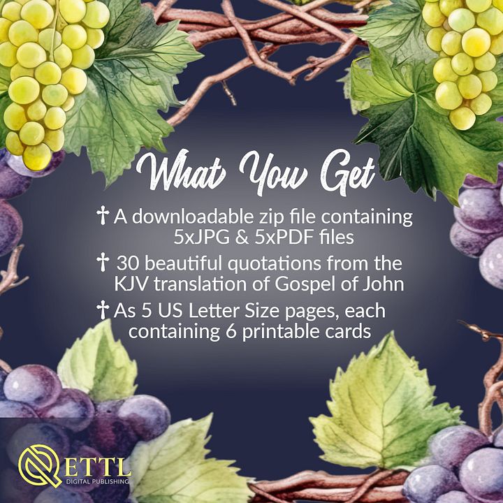 Gospel of John Printable Quote Cards product image (2)