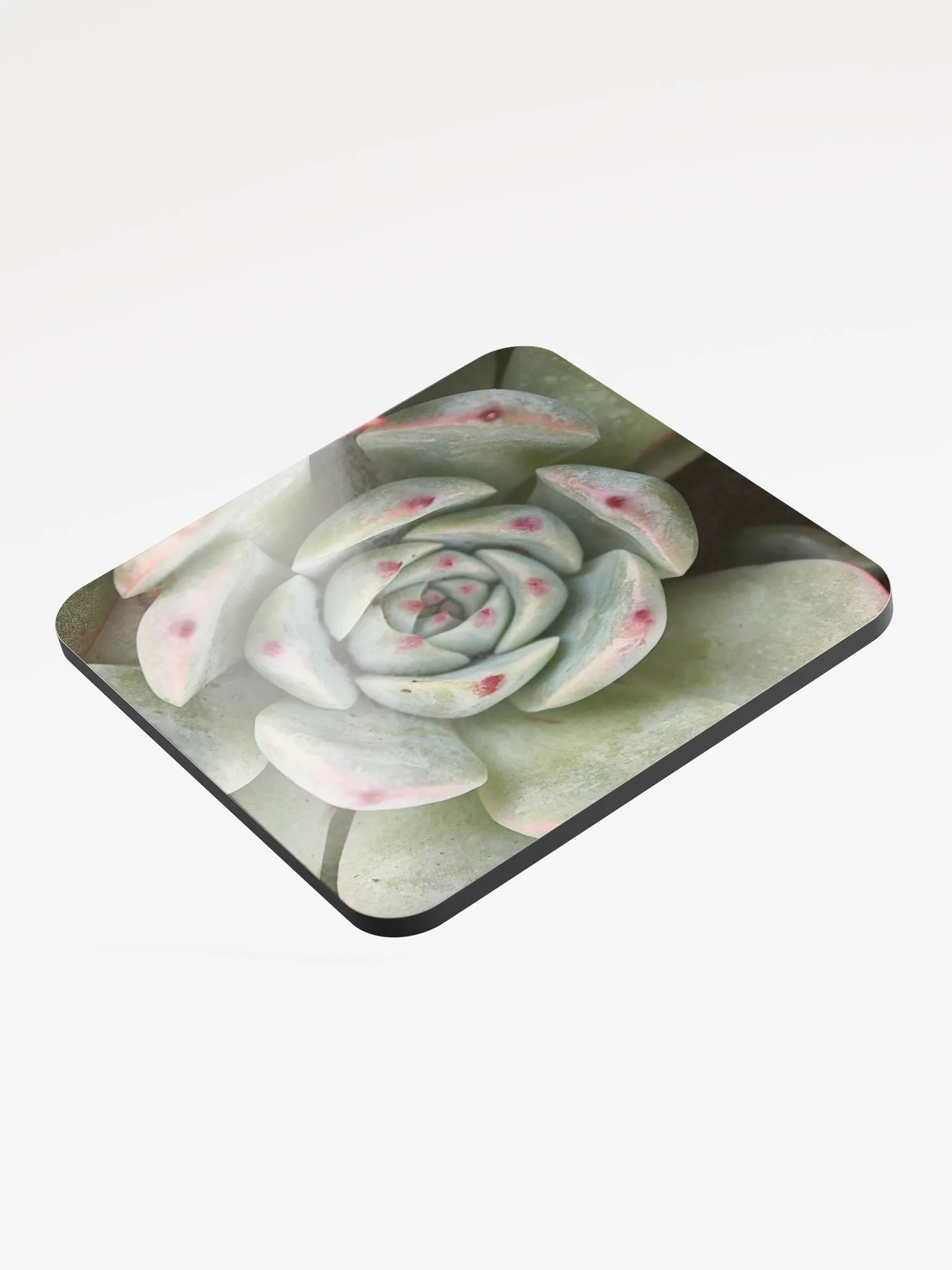 Red Tipped Succulent Single Coaster product image (3)