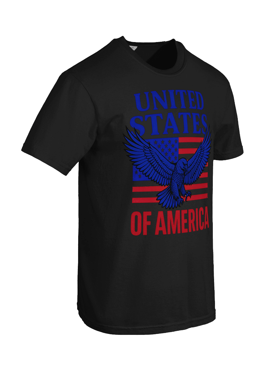 Patriotic Eagle Graphic Tee product image (74)