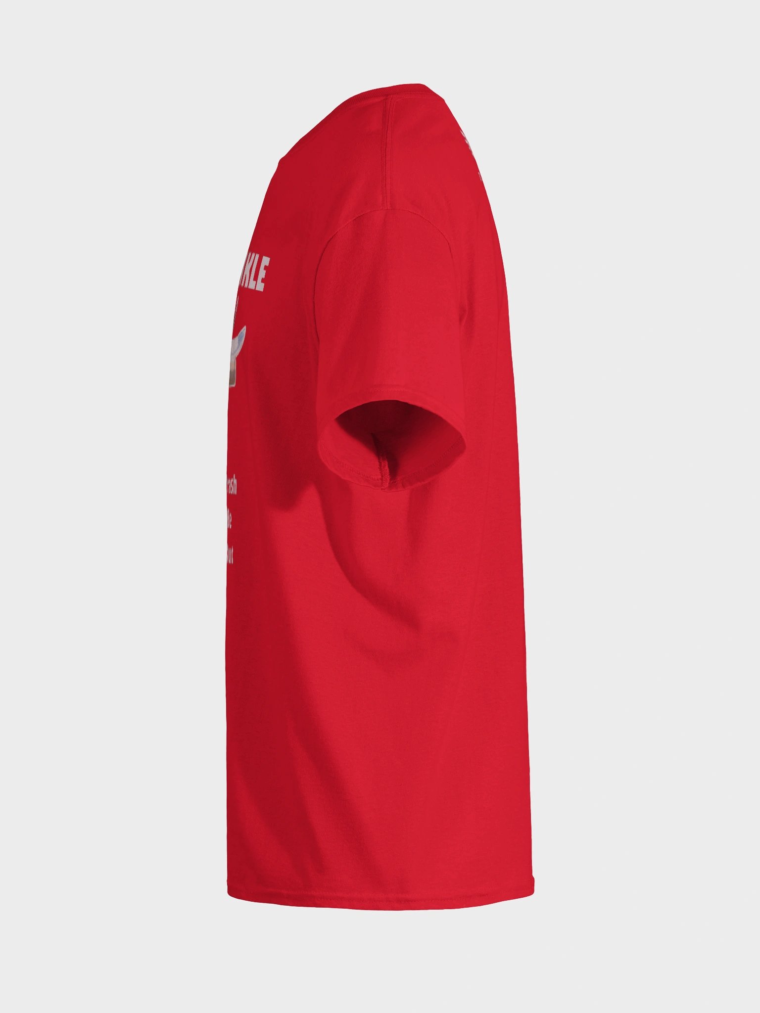 Leewinkle Trash Plane T-Shirt product image (56)