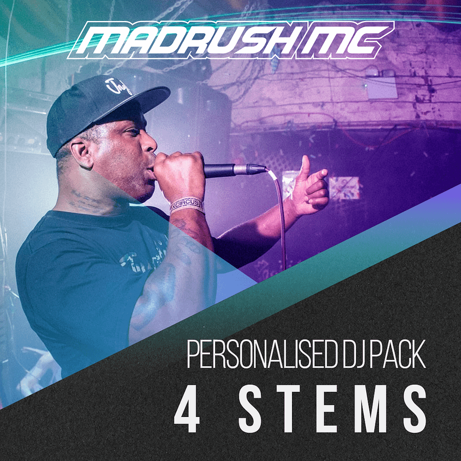 Personalised DJ Pack ( 4 Stems ) product image (1)