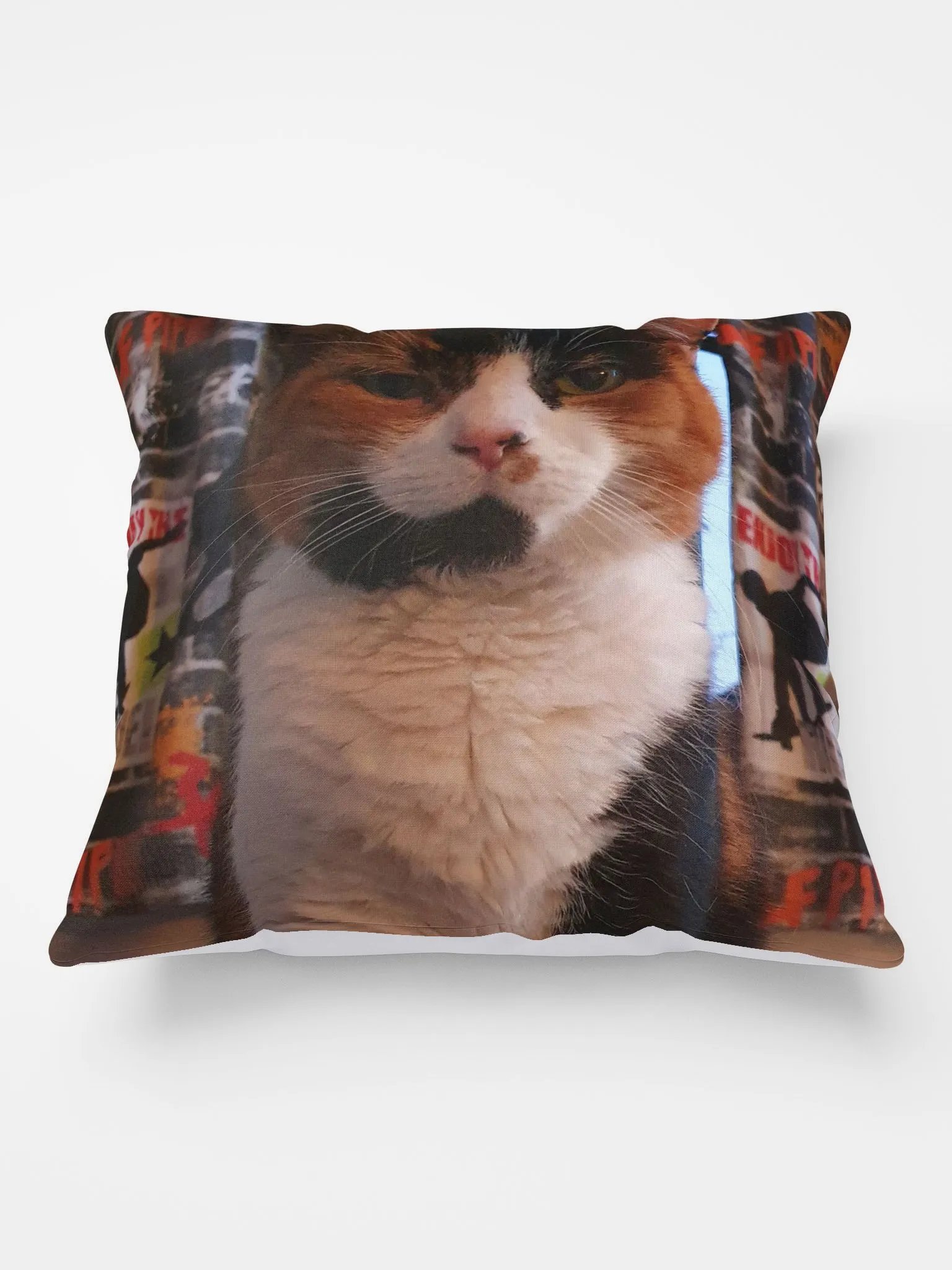 Rosie Staring Contest Pillow product image (1)