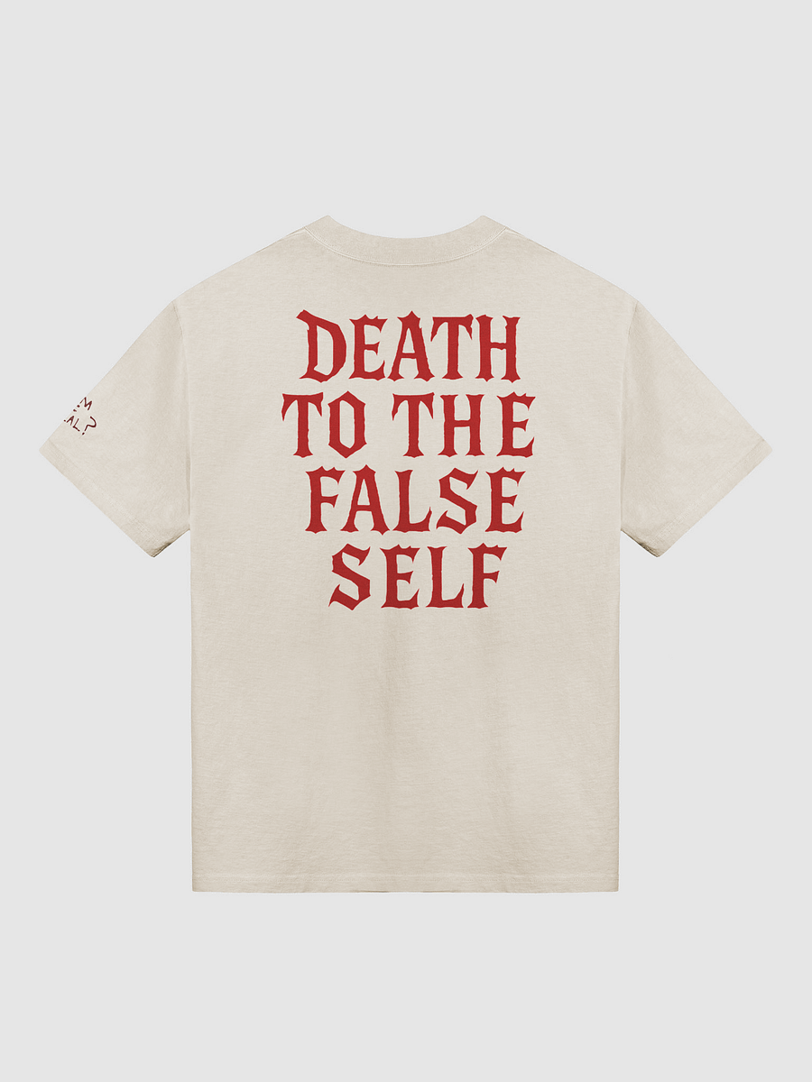 Reality Check Faded Tee product image (2)