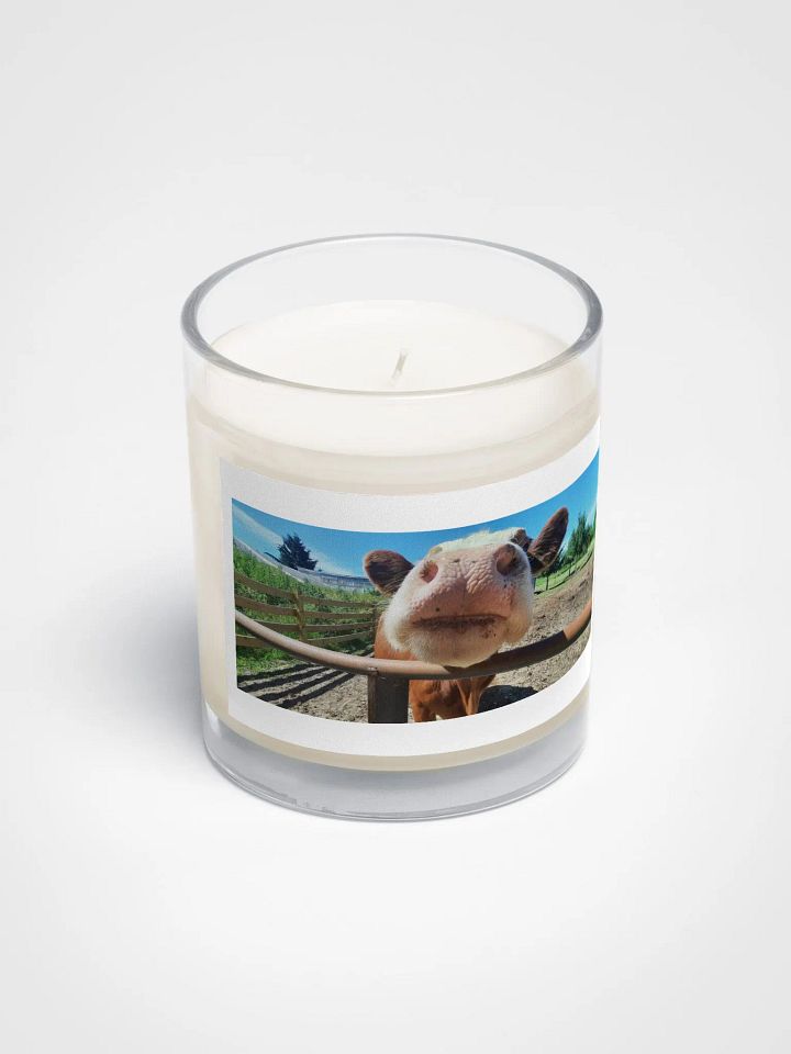 Nosey Cow Soy Wax Candle product image (2)