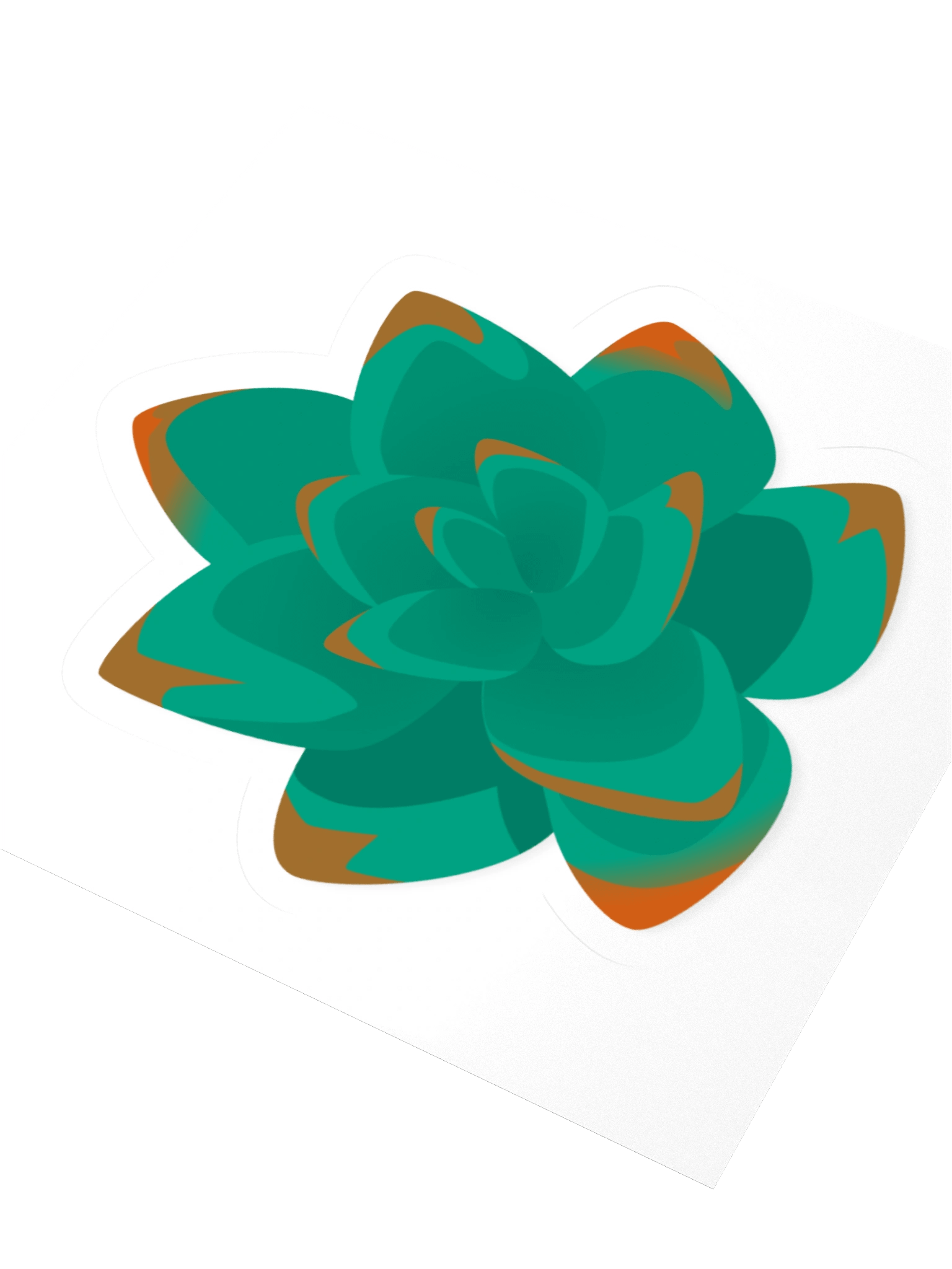 Echeveria product image (3)