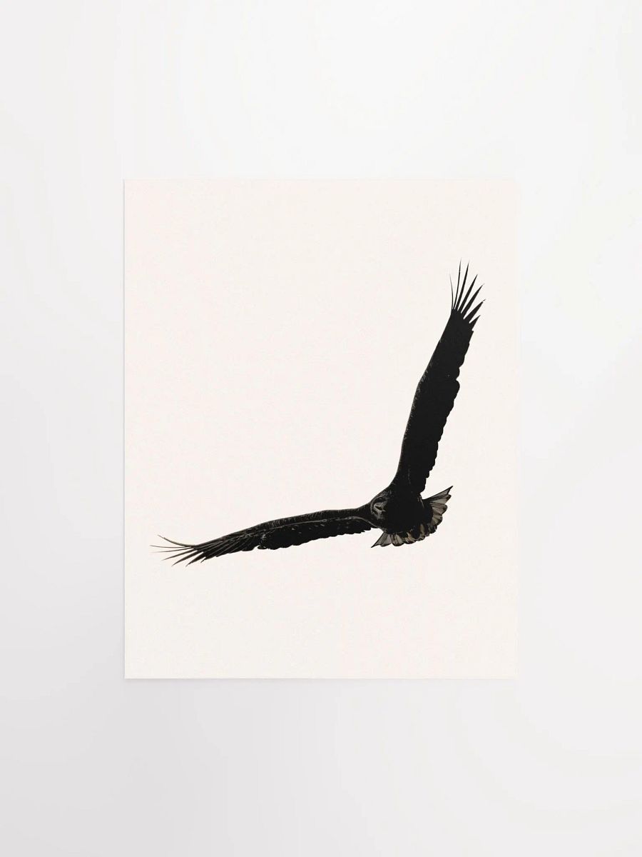 Flight of the Silhouette: Matte Poster Print product image (6)