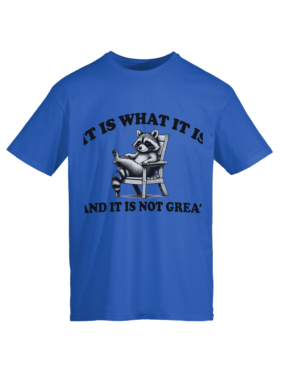 Reality Raccoon Tee product image (43)