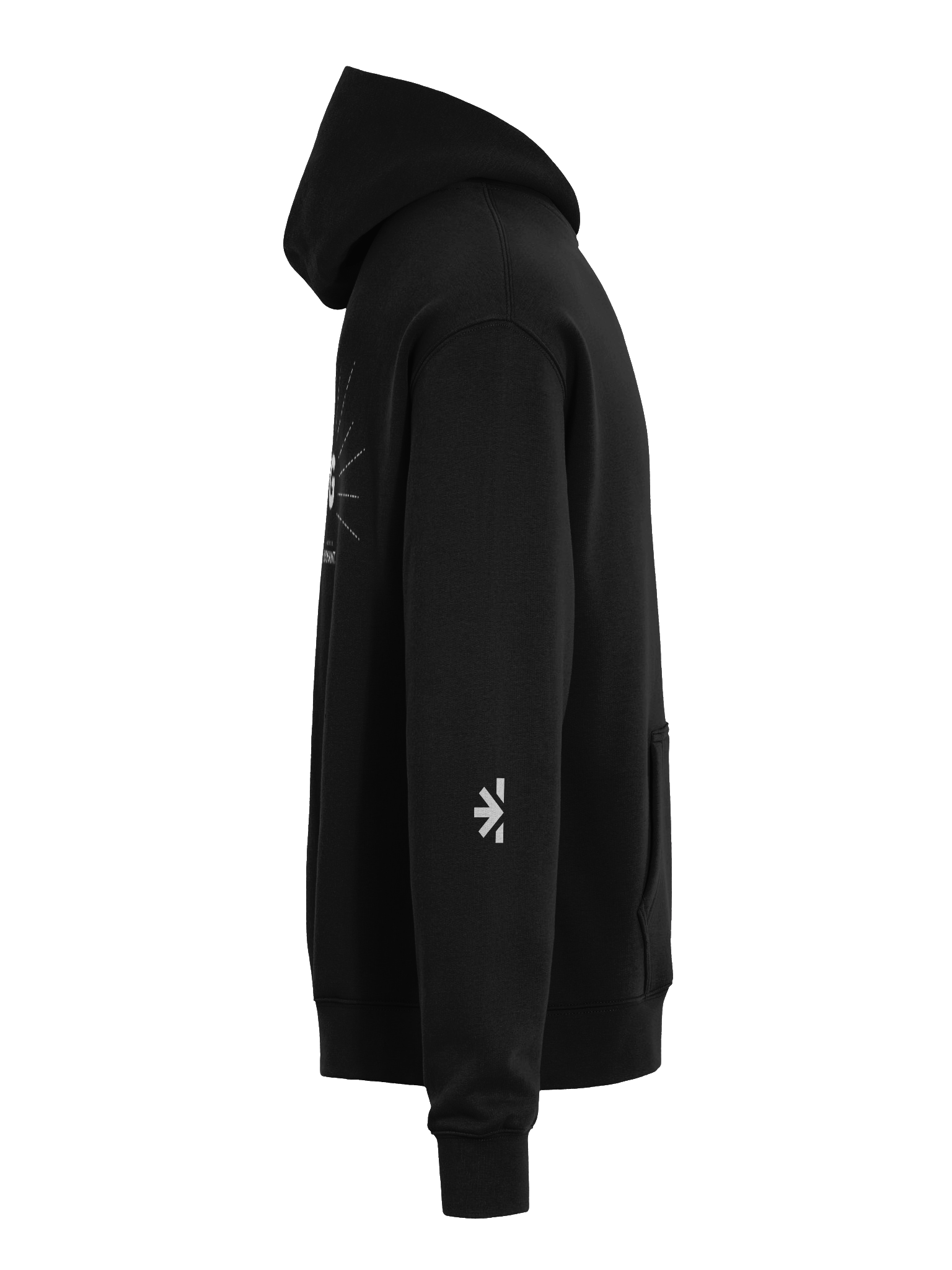 Sell It 25 The Next Big Thing Hoodie product image (5)