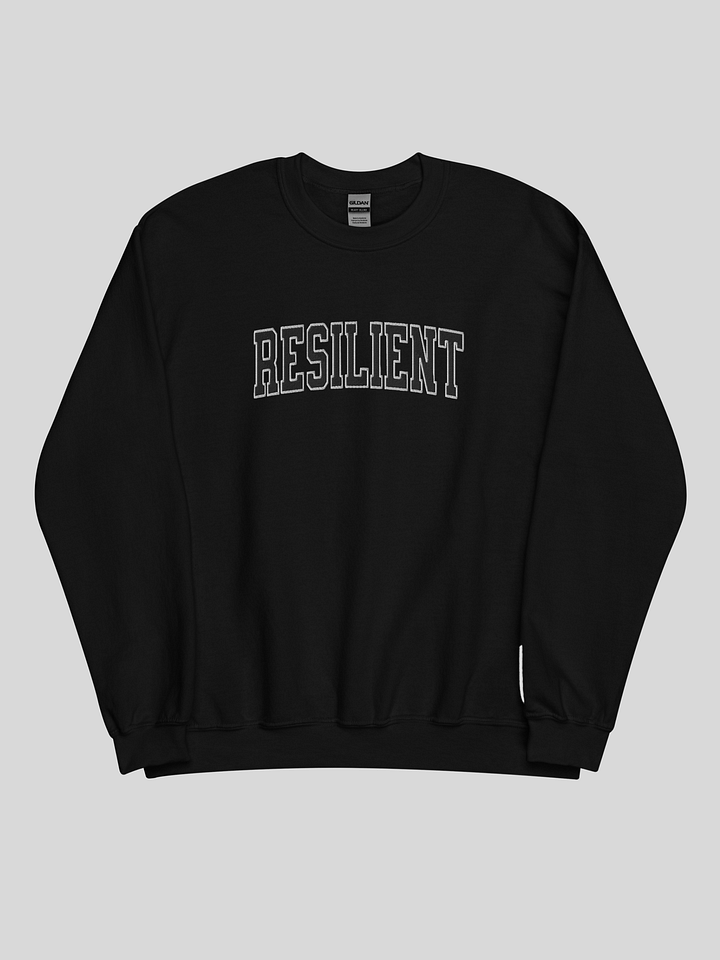 Resilient ... You've Got This Unisex Sweatshirt product image (2)