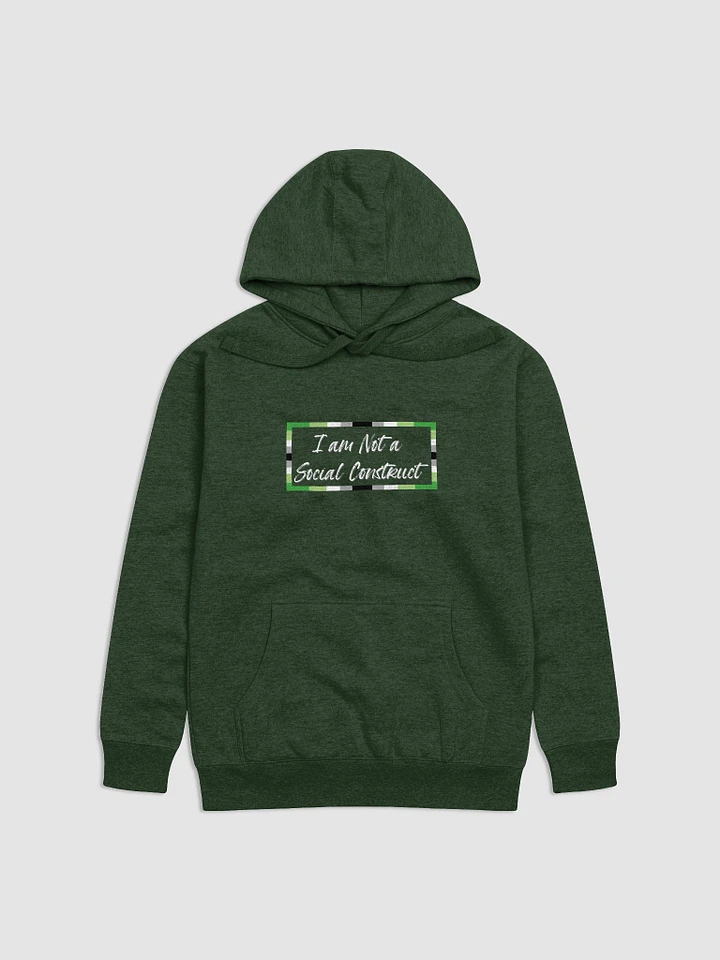 I am Not a Social Construct - Aromantic - Hoodie product image (1)