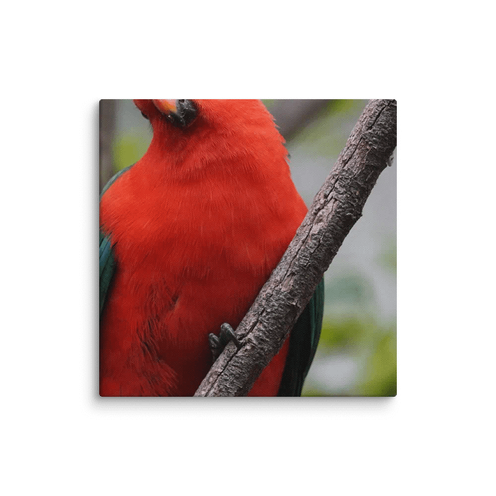 Bird on a Canvas product image (1)