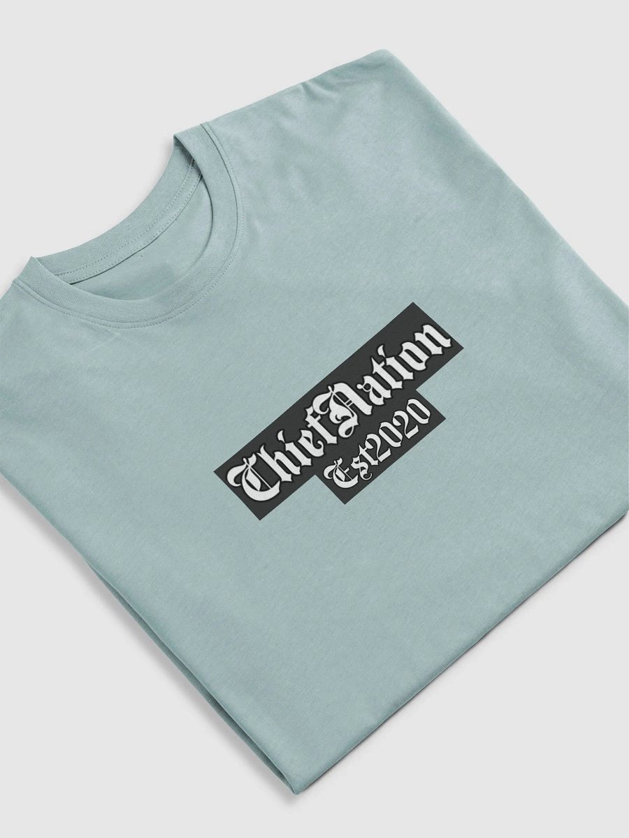 Native Identity Statement Tee ChiefNation Est2020 product image (27)
