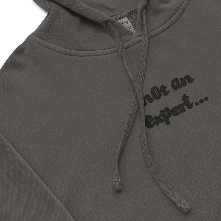 Stealth "not an expert..." Official Heavy Weight Hoodie product image (12)