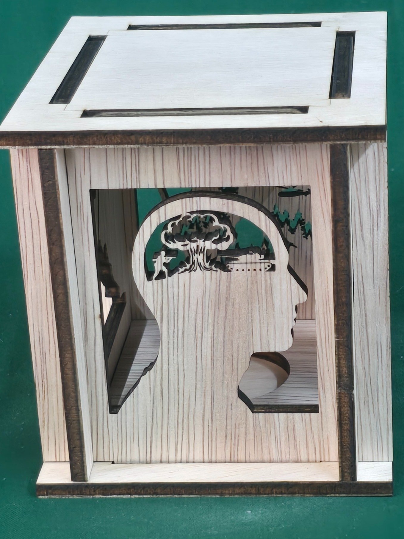 The Resilience Lantern: A Tribute to Service & the Silent Battle product image (2)