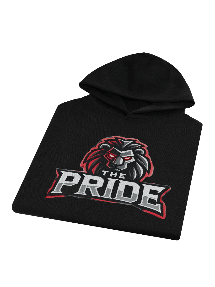 The Pride Hoodie product image (7)