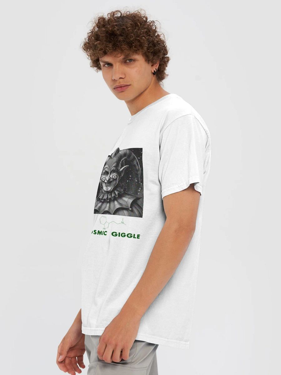DMT Jesters product image (6)