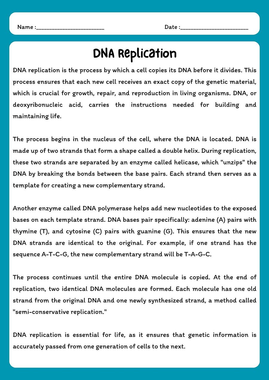 DNA Replication Reading Comprehension Passage & Questions product image (1)