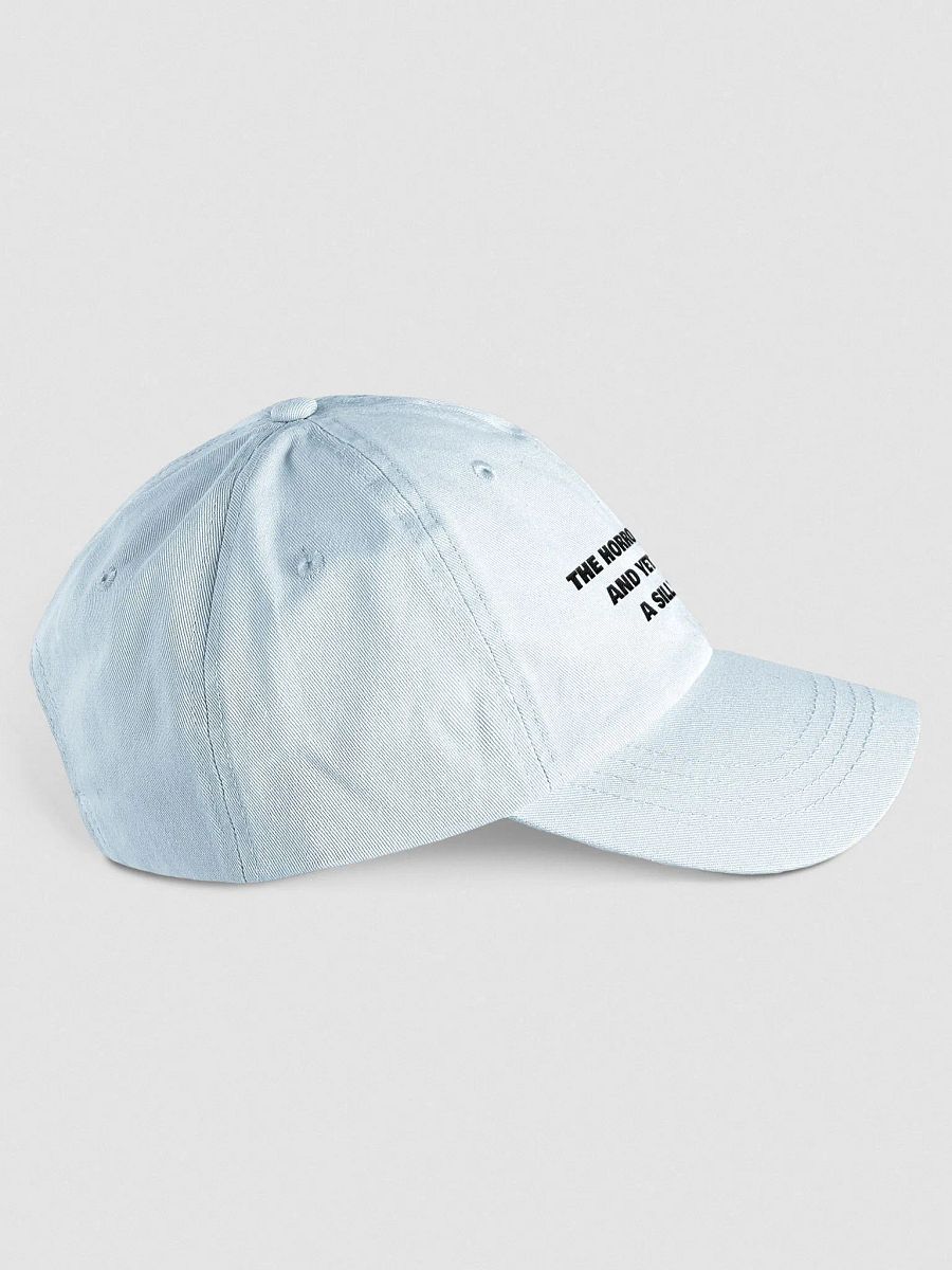 Silly Goose Embroidered Hat product image (4)
