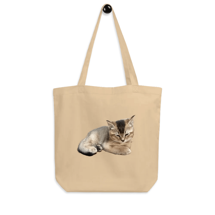 Sleepy Toby's Tote product image (7)