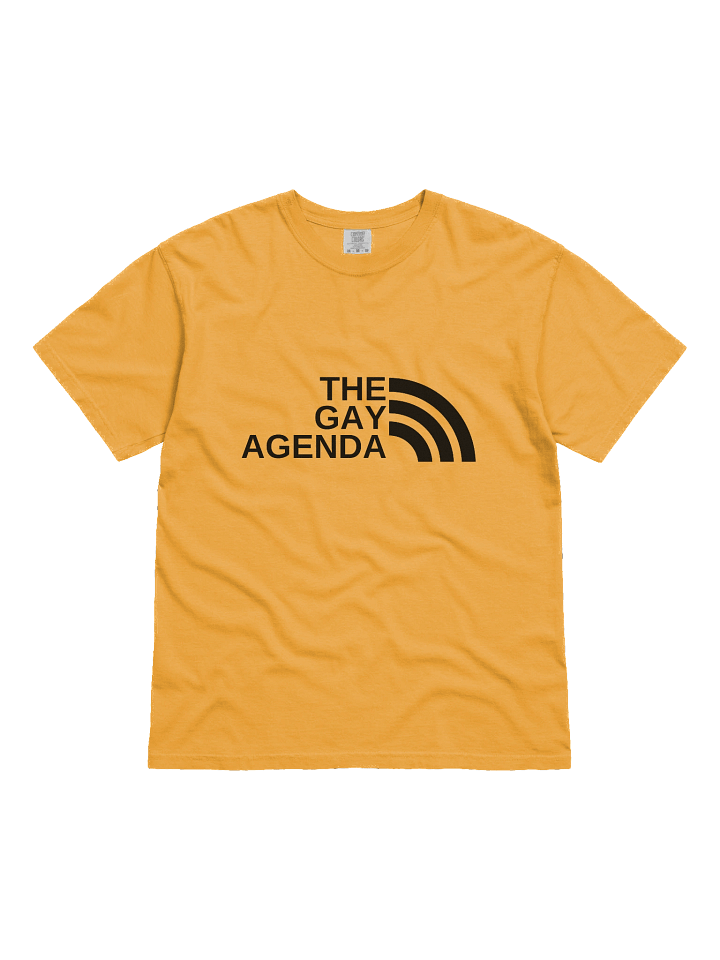 THE GAY AGENDA (Light Mode) - Tee product image (7)