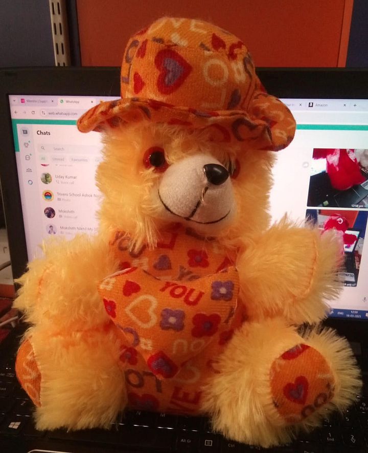 TEDDY BEAR product image (1)