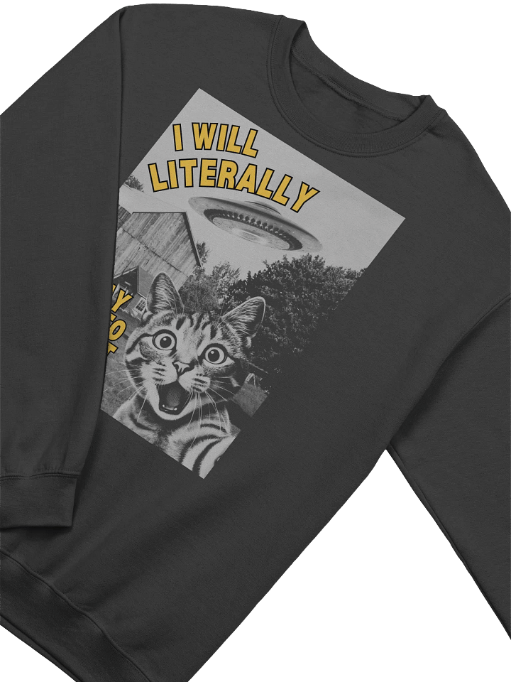 I Will Literally Pay You To Abduct Me Sweatshirt product image (2)
