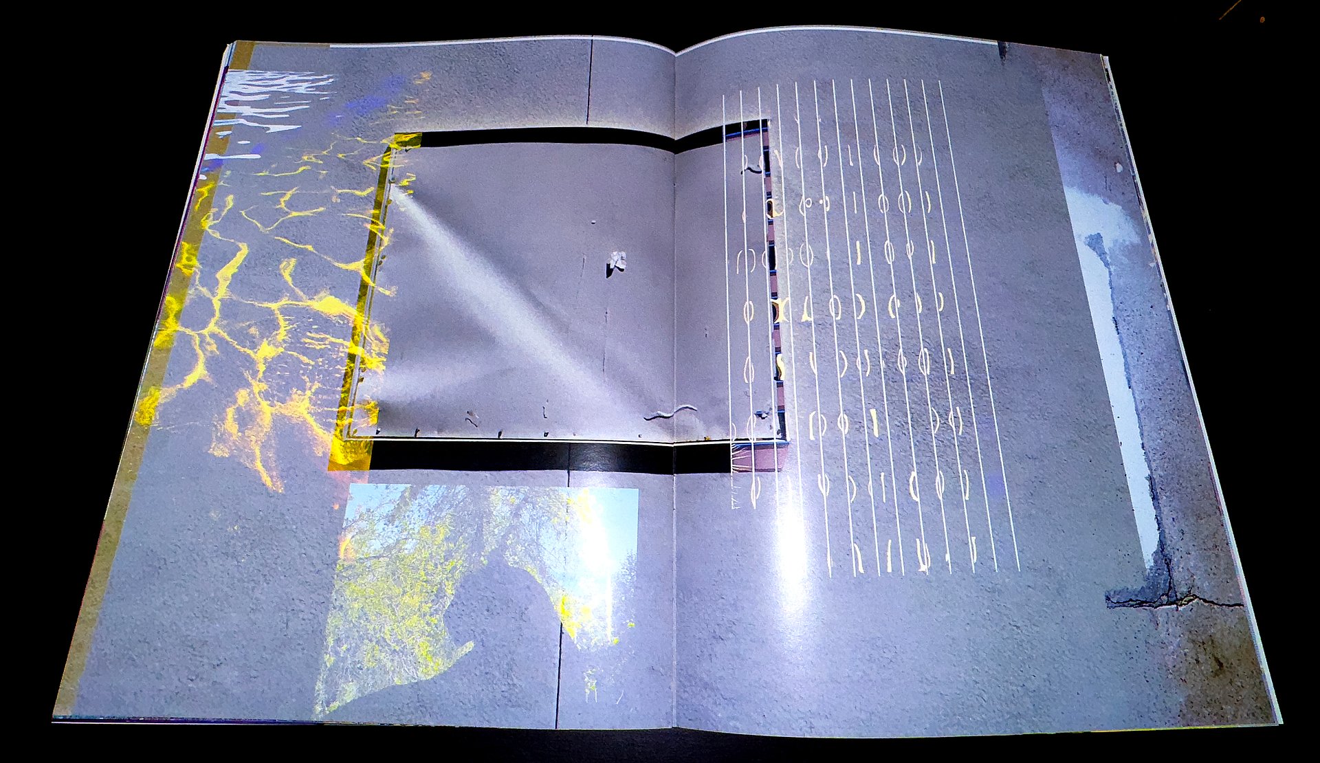 2025 - Zimmer Charging 6-1: "Purple Fire Or So You Wrote" book product image (3)