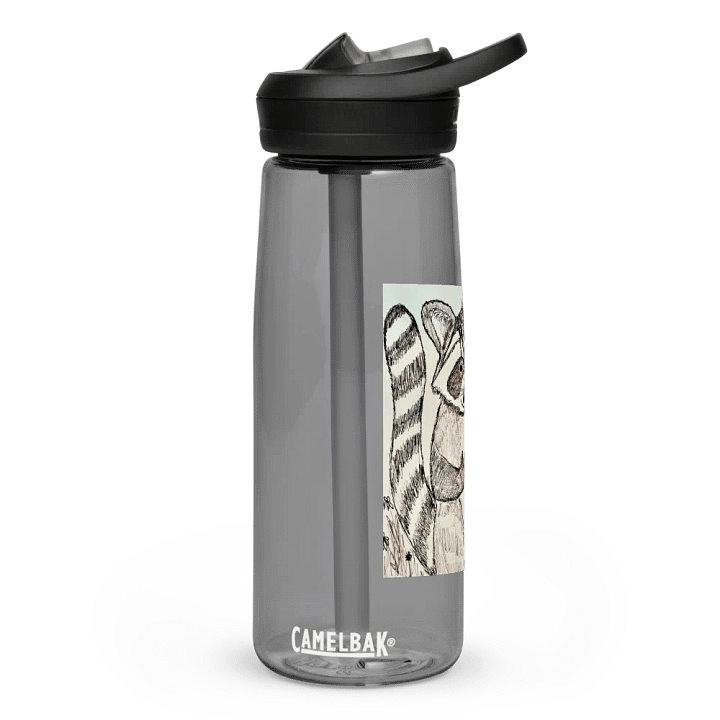 Wild Guides - Racoon product image (1)