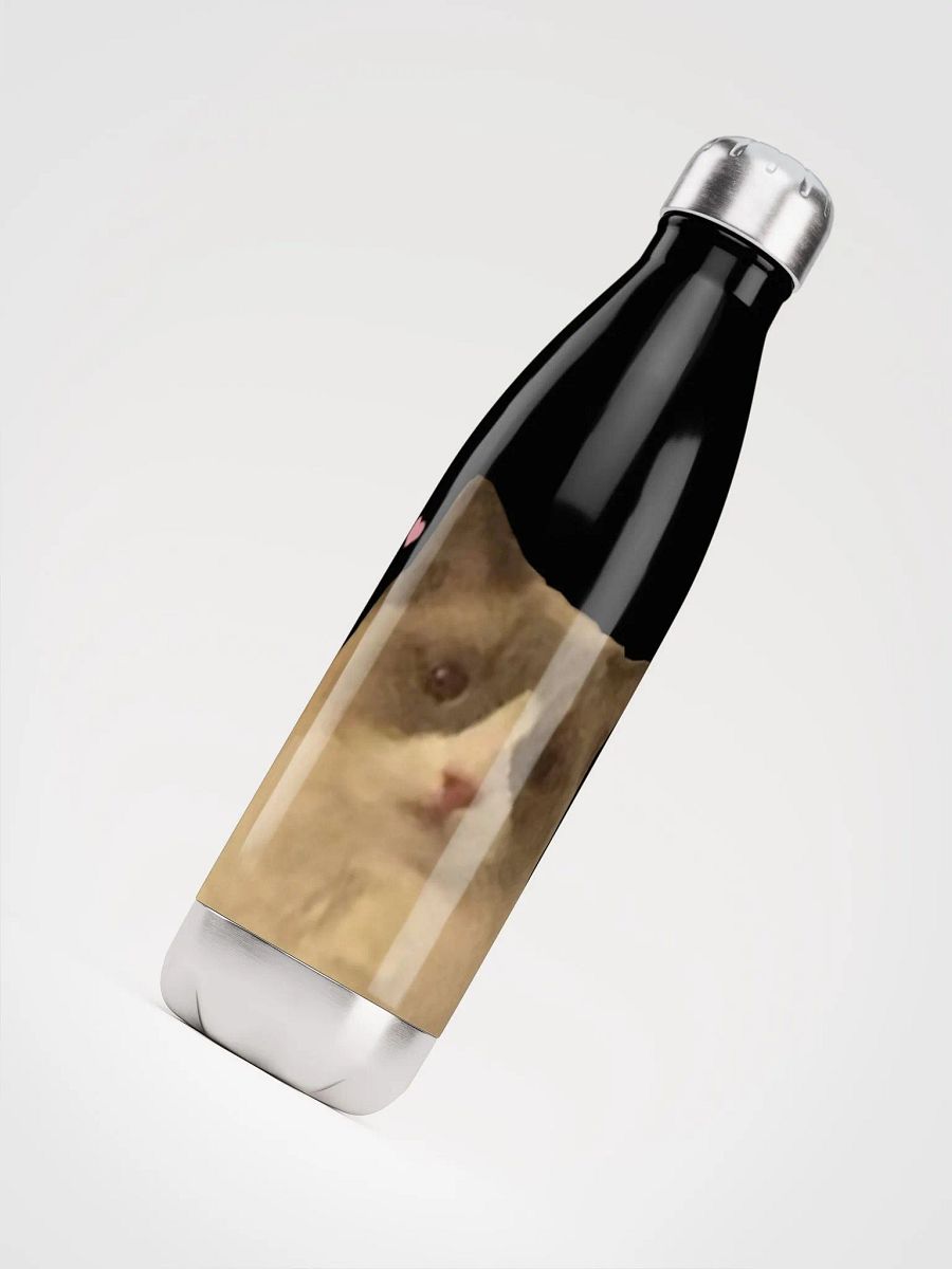 Maya Water Bottle product image (4)