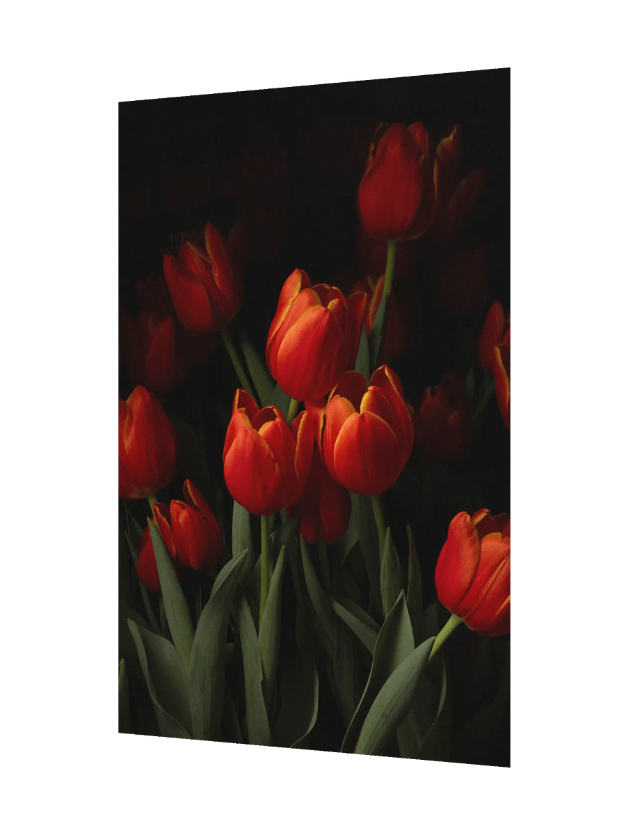 Rush of Red Print product image (4)