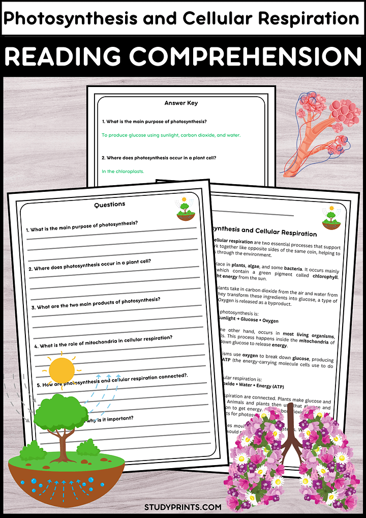 Photosynthesis and Cellular Respiration Reading Passage with Comprehension Quest product image (1)