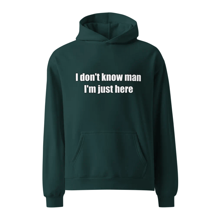 Just Here Premium Hoodie product image (1)
