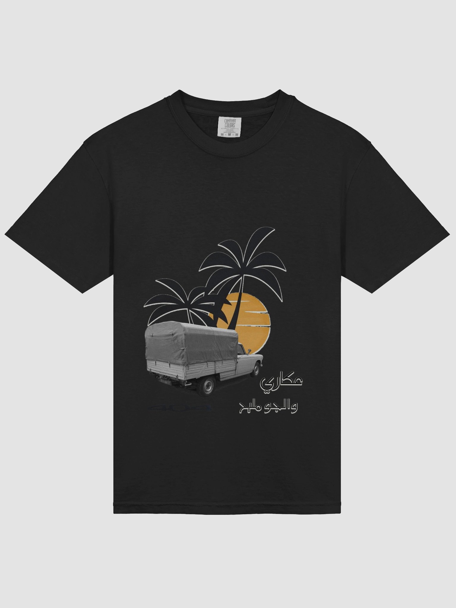 PEUGEOT 404 libyan oldes product image (12)