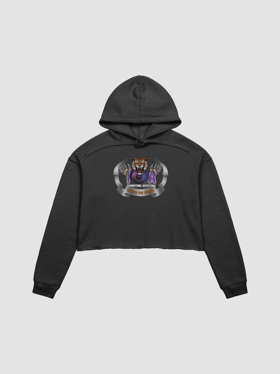 Ironton Auditor Bella+Canvas Fleece Crop Hoodie product image (1)