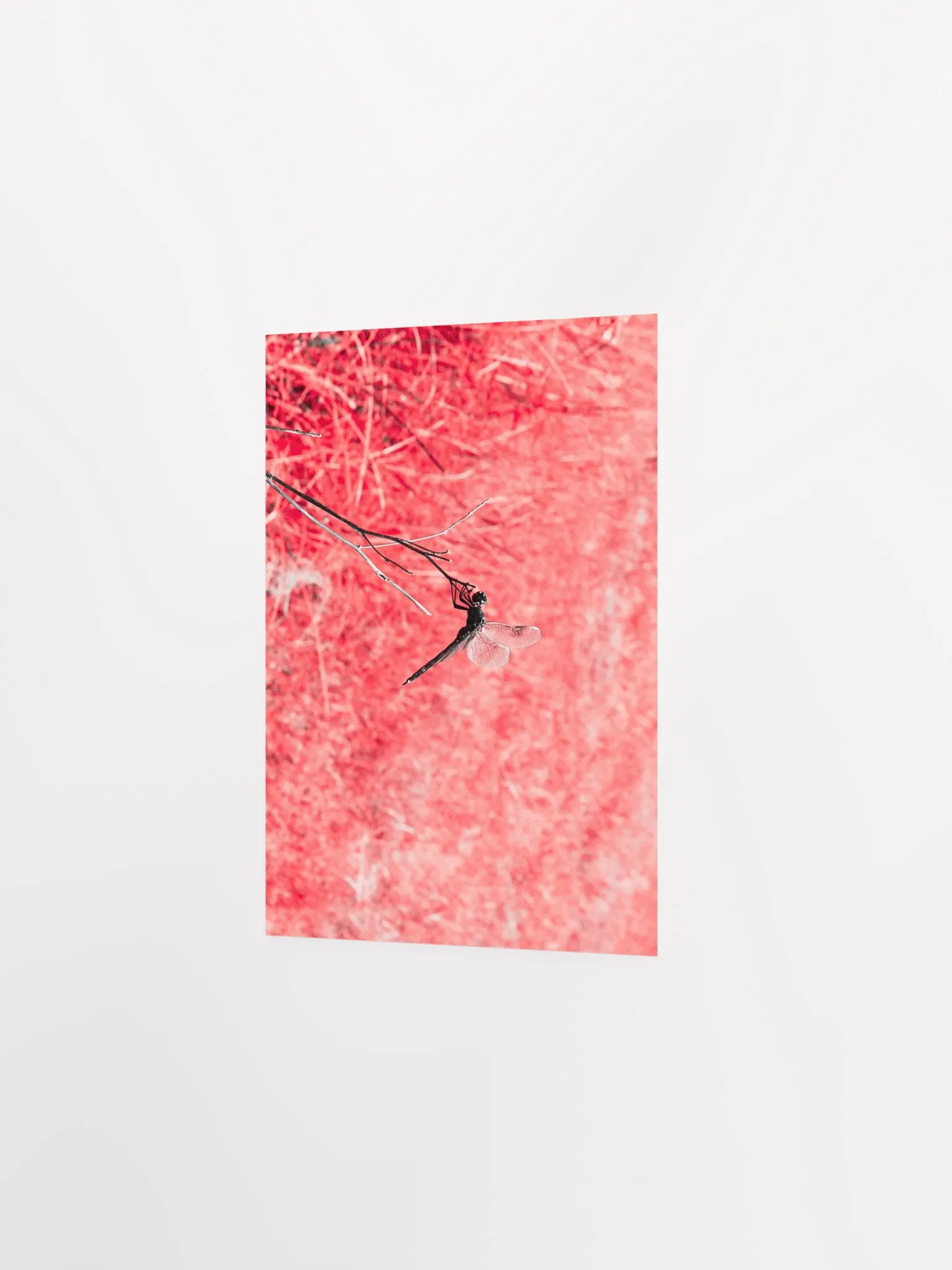 Glass Menagerie product image (18)