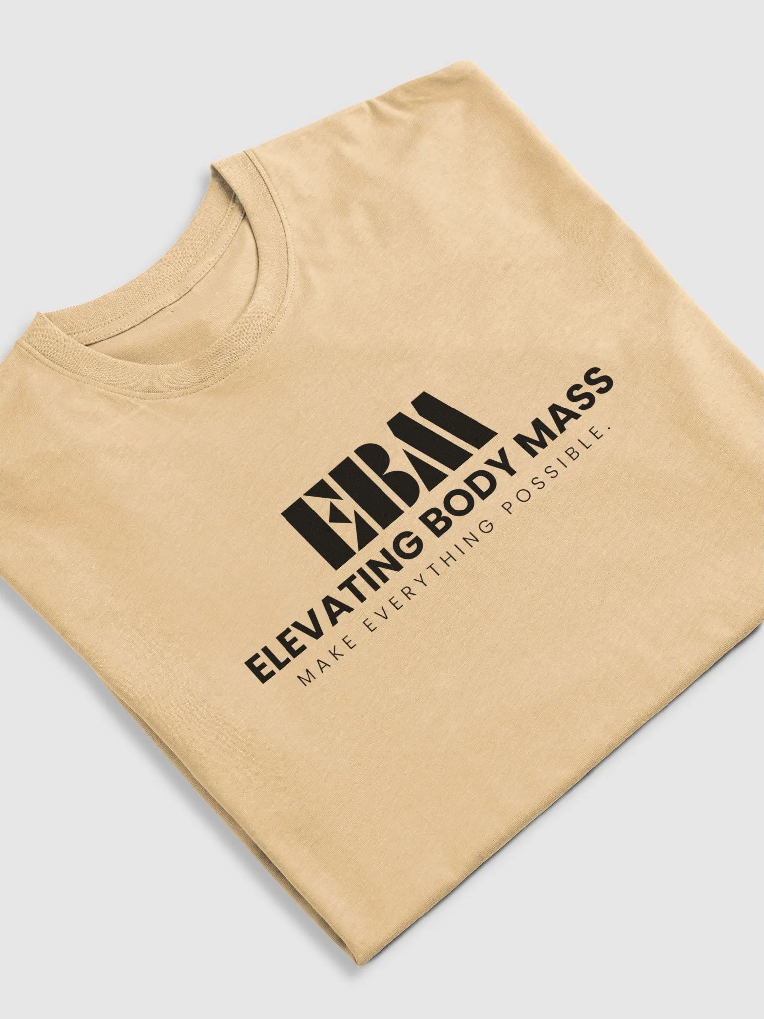 EBM Heavyweight Tees (Black Logo) product image (5)