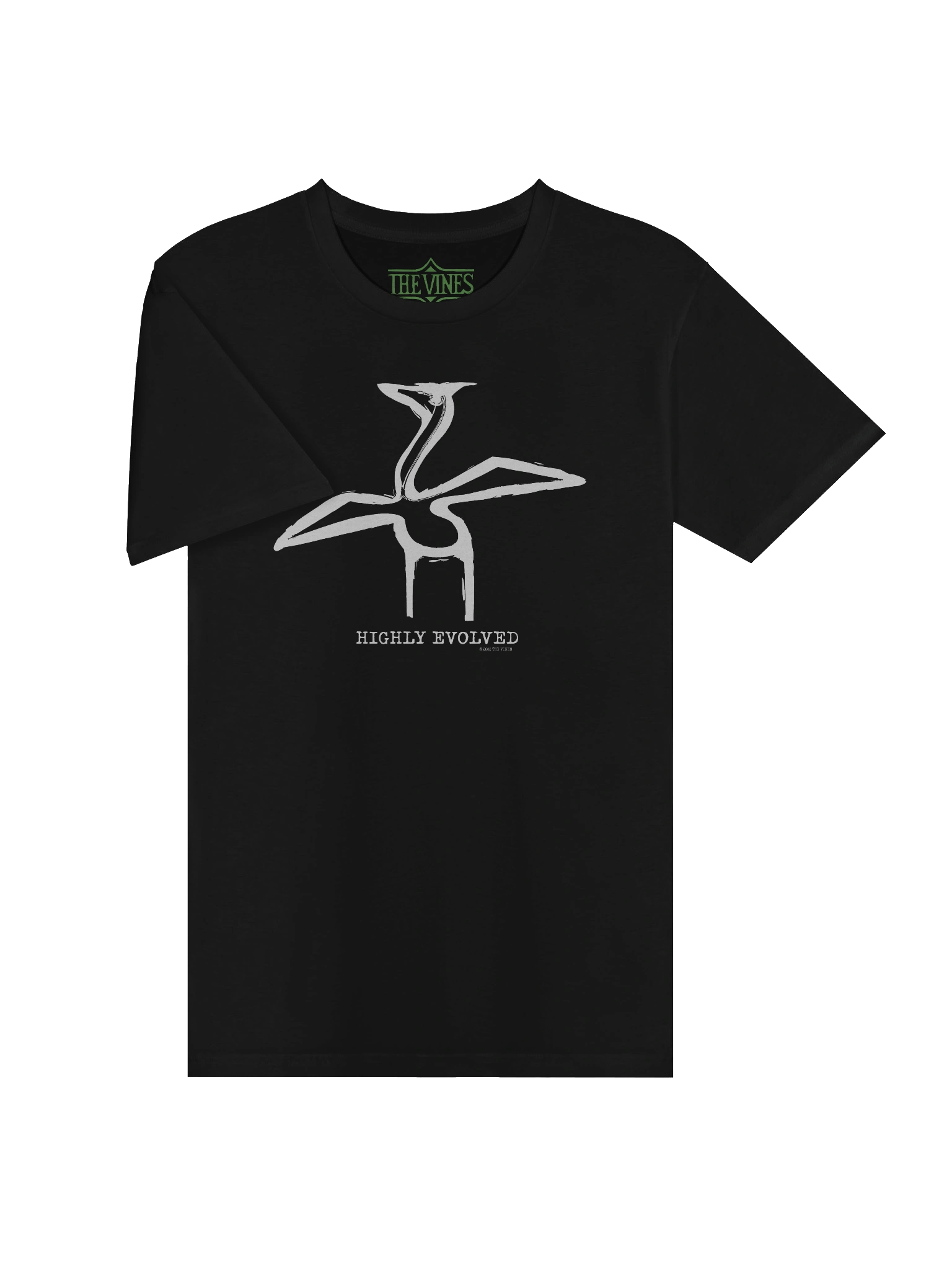 Highly Evolved Bird Tee product image (8)