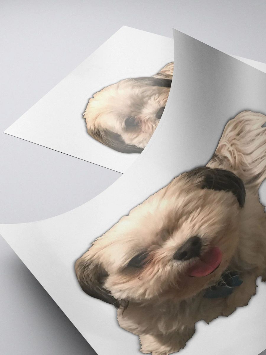 Scruffy Bug product image (4)