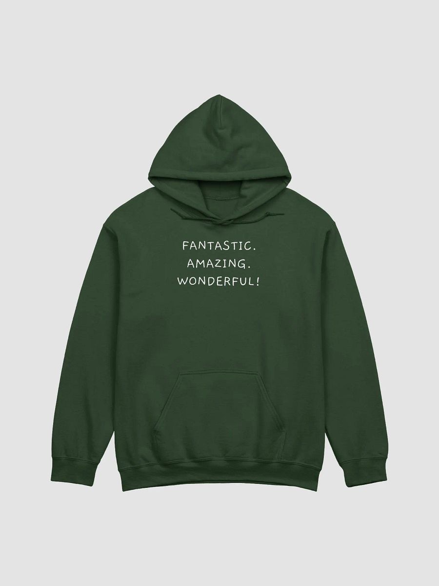 Fantastic Hoodie product image (5)