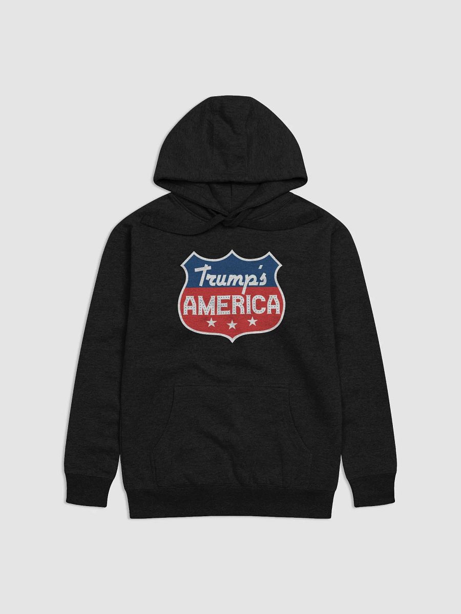 Trump's America - Premium Hoodie product image (1)