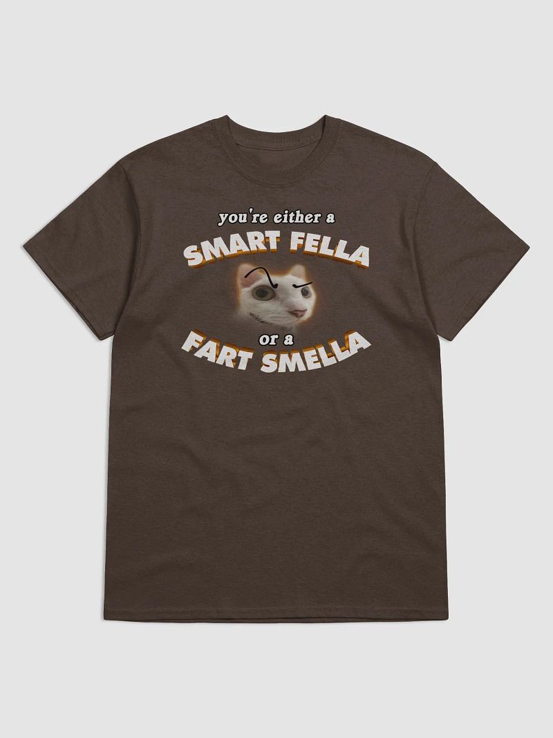 You're either a smart fella or a fart smella T-shirt