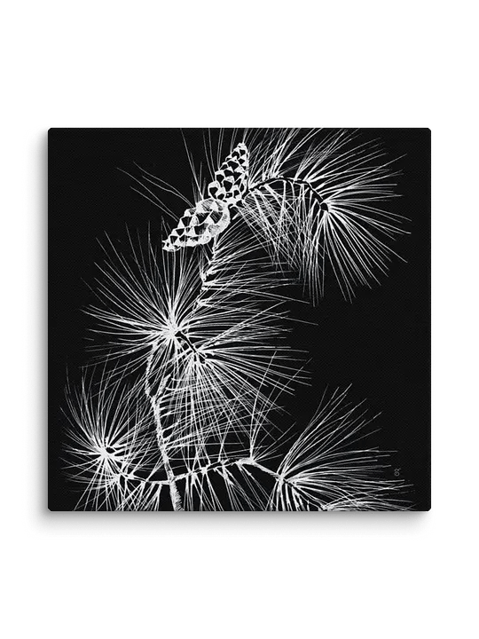 Visionary Canvas Collection - Stylish Pine Branch and Cones product image (127)