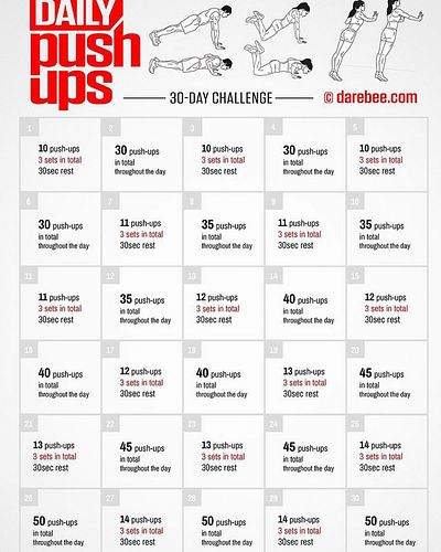 I have been challenged by @t3r3sa101 to do the 30 day push up challenge! Starting August 1st I will be implementing the daily...