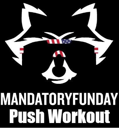 Push Workout product image (1)