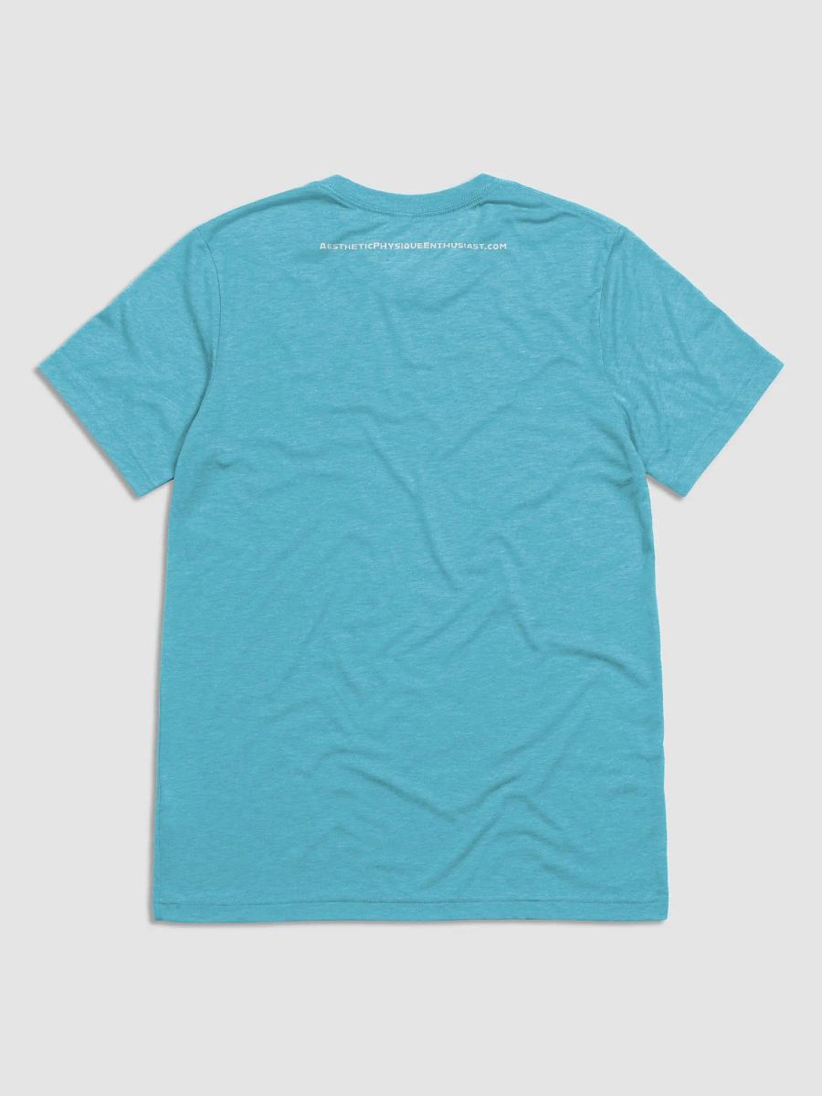 APE Triblend T-shirt [Unisex] product image (2)
