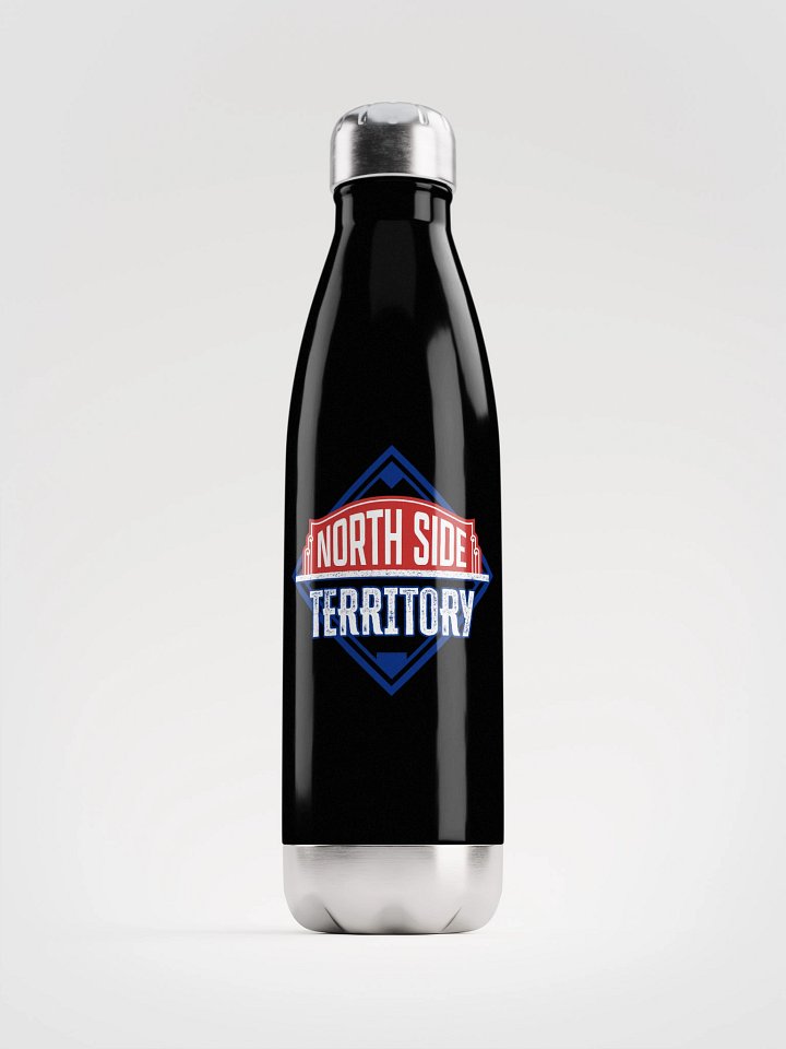 Stainless Steel Water Bottle product image (1)