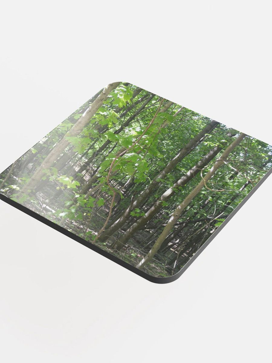 Forest Cork Coaster product image (3)
