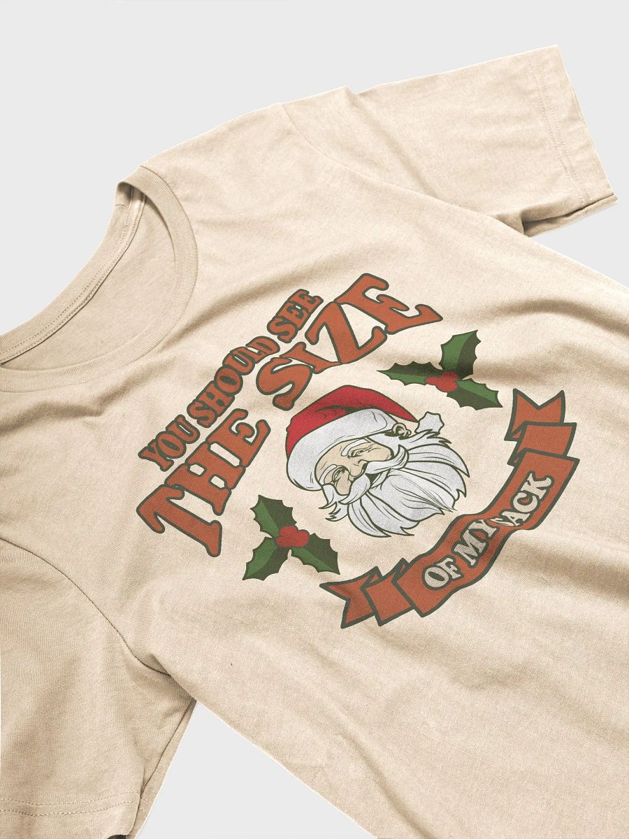 You Should See The Size of My Sack Funny Santa T-Shirt product image (19)