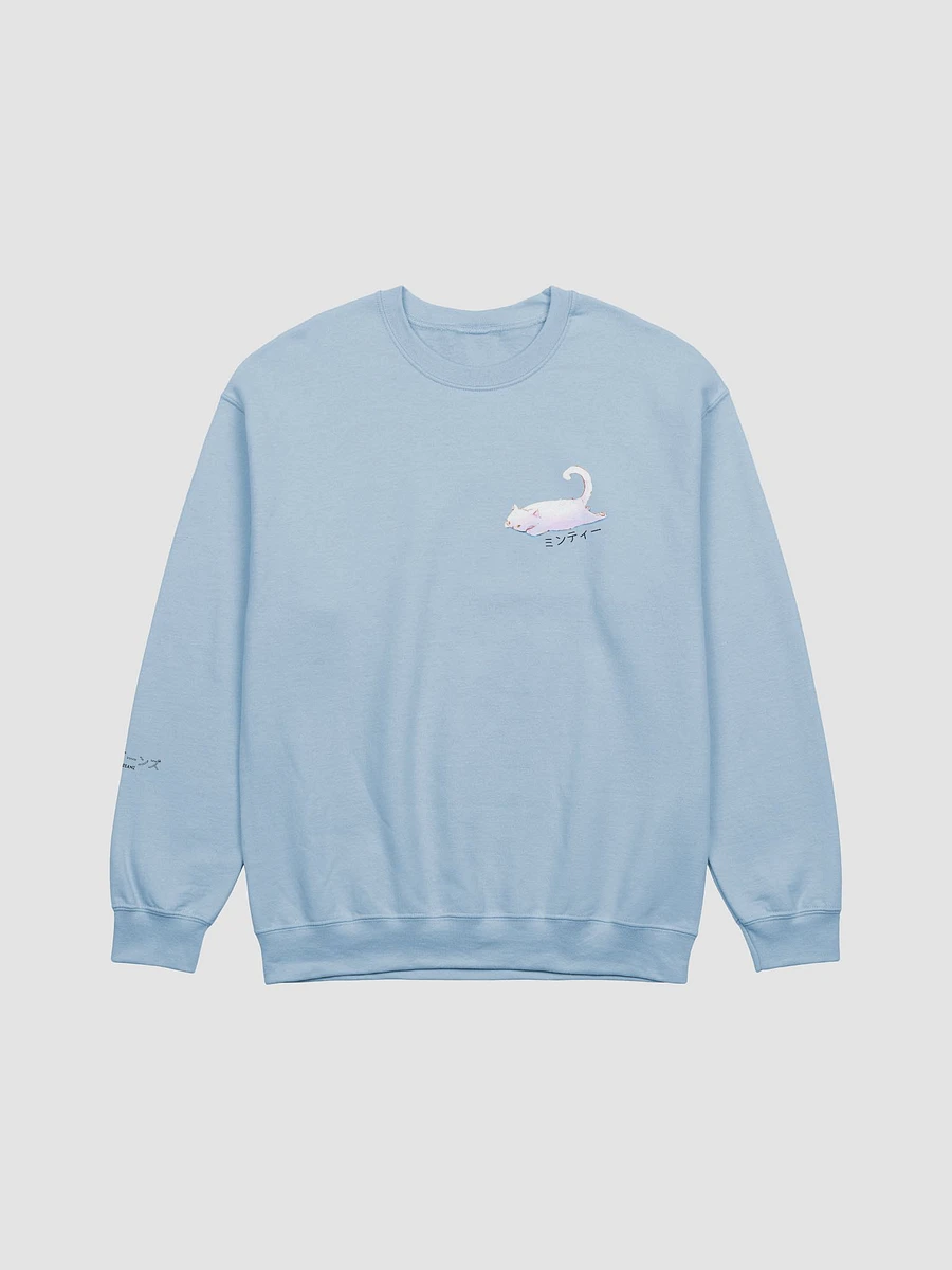 Minty Jumper product image (2)