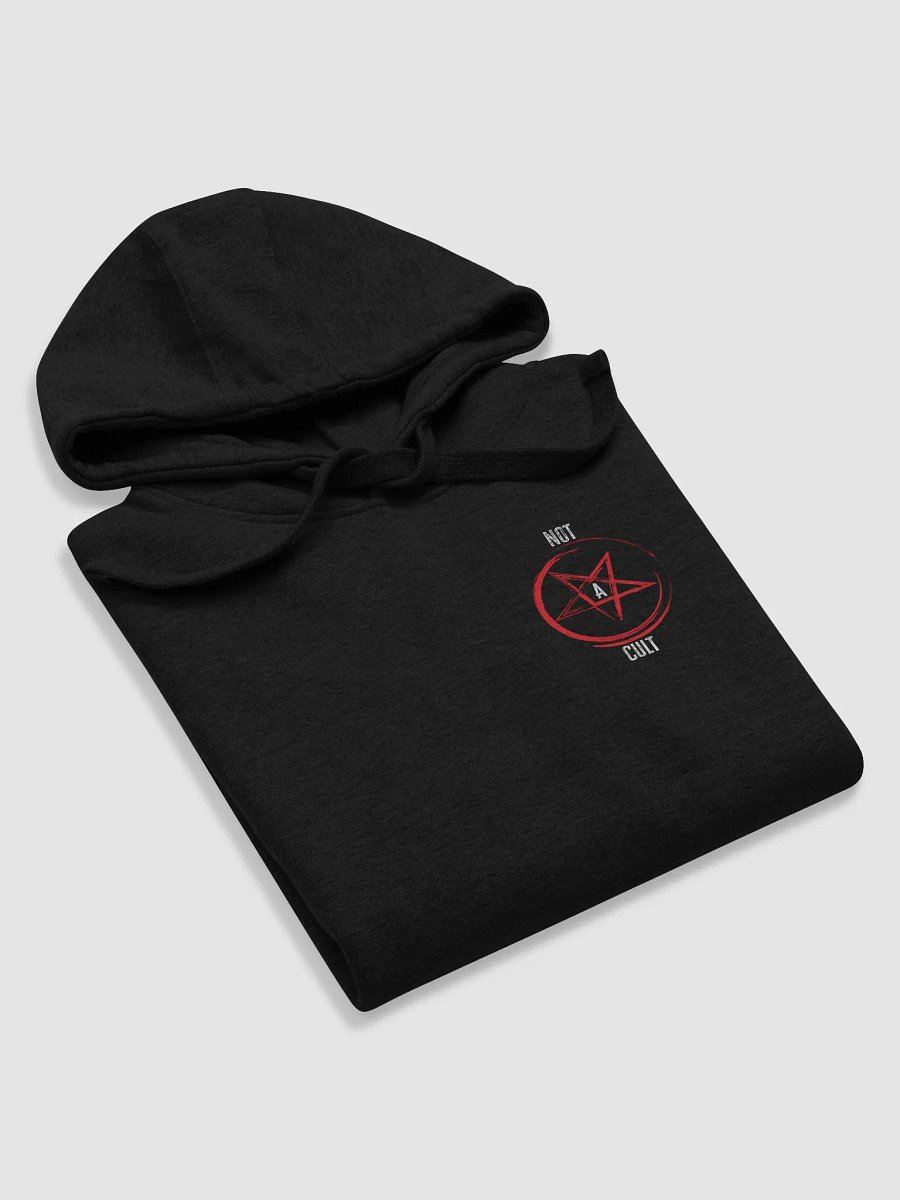 Definitely Not a Cult Hoodie product image (5)